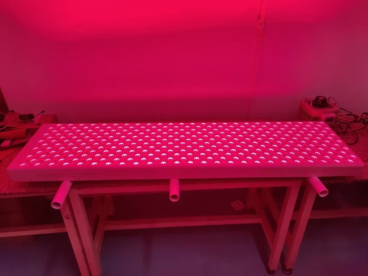 satın al 3000W Kırmızı Terapi Paneli LED PDT Zamanlama 660nm 850nm Kırmızı Işık Terapi Cihazı çevrimiçi üretim