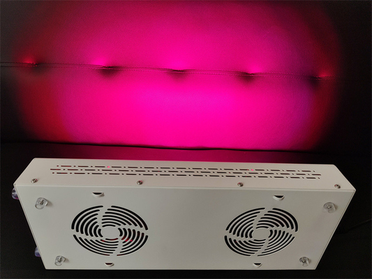 satın al 600w Vücut Bakımı Kırmızı Işık Terapi Cihazı Kusursuz Cilt için Kırmızı Nir Spektrumu Özelleştirme çevrimiçi üretim