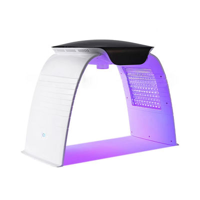 satın al Portatif 7 Renkli LED Yüz Makinesi Pdt Led Işık Terapisi Nano Su püskürtücüsü Fototerapi Güzellik Makinesi AC110-240V Voltajlı çevrimiçi üretim