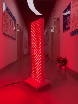 satın al High Power 2000W Red + Near Infrared Light Panel – OEM Factory with Pulse Mode & Brightness Control çevrimiçi üretim