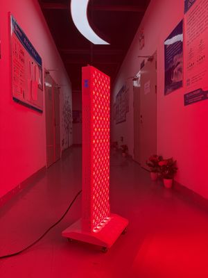 satın al OEM Factory Supply 2000W Red Light Therapy Panel – 630/660/810/830/850nm Wavelength Options çevrimiçi üretim