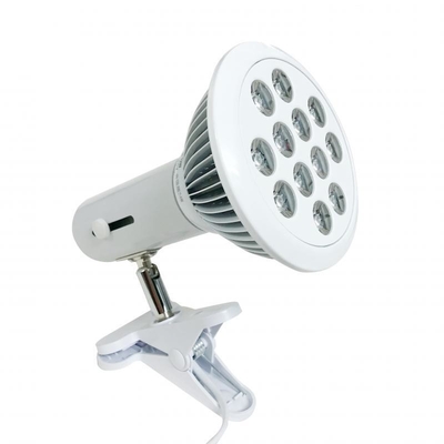 satın al E27 Soket Kırmızı Led Ampul 36W Terapi Lambası 660nm 850nm Kırmızı Işık Terapisi çevrimiçi üretim