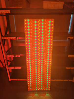 6000w 9 dalga boyu 535 590 610 630 660 810 830 850 1060Nm Led Light Panel for Full Body