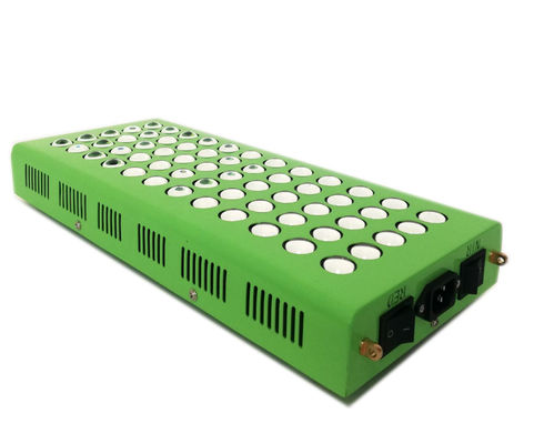 Diz Ağrısı İçin 300w 660nm 850nm Yaşlanma Karşıtı Kızılötesi Işık Terapisi