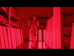 3000w kırmızı ışıklı terapi paneli