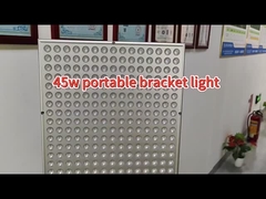 Yer kısıtlamaları yok Kızılötesi Kırmızı Işık Terapi Lampası 45W 660nm 850nm