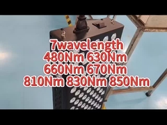 Kişisel Kullanım İçin 660nm 850nm AC Kırmızı Işık Terapi Makinesi Ağrı kesici