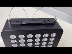 300W taşınabilir LED Işık Terapi 630 660 810 850nm Terapi Paneli